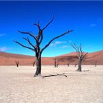 Dead Vlei